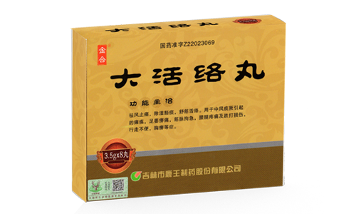 大活絡(luò )丸